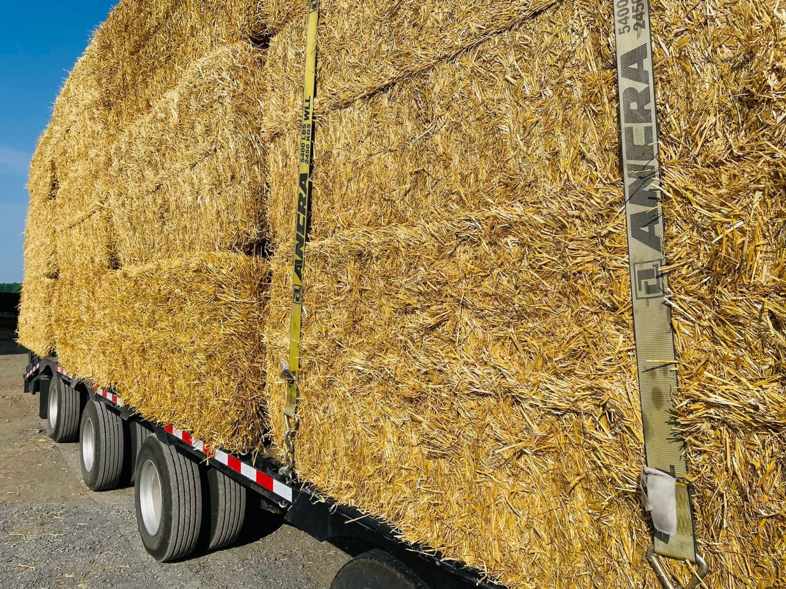 Transport & Logistik